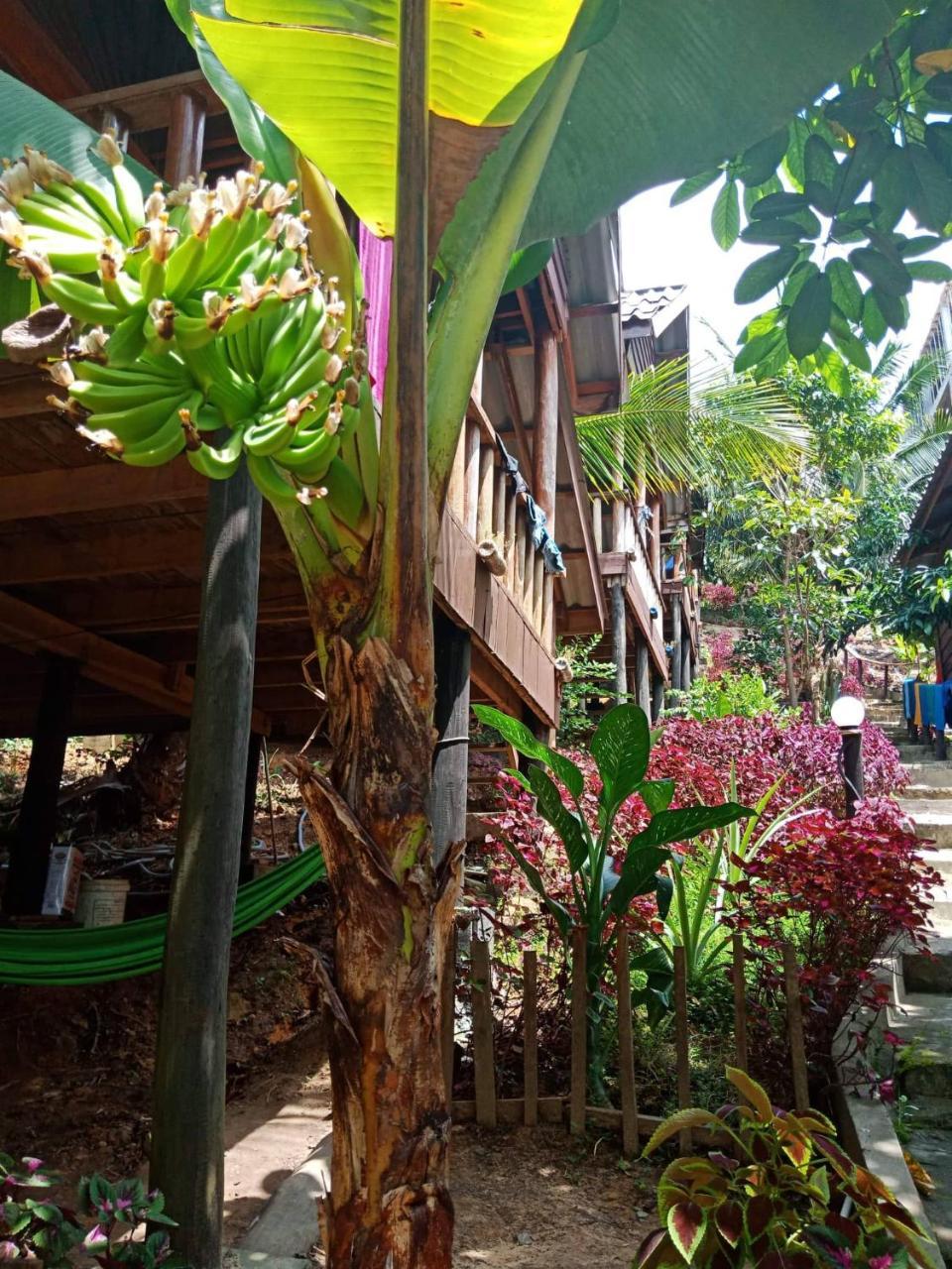 Happy Elephant Bungalows Kaoh Touch Luaran gambar